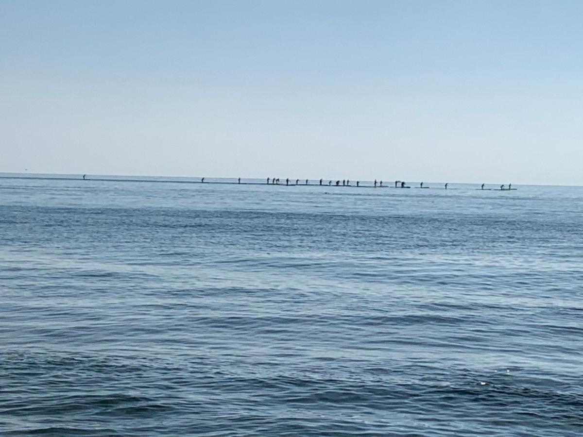 Apartamentoen La Playa, 200 Mts De La Playa Nuevo سانتا بولا المظهر الخارجي الصورة