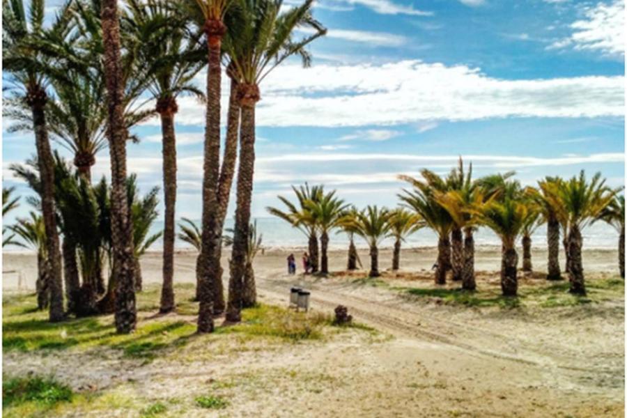 Apartamentoen La Playa, 200 Mts De La Playa Nuevo سانتا بولا المظهر الخارجي الصورة