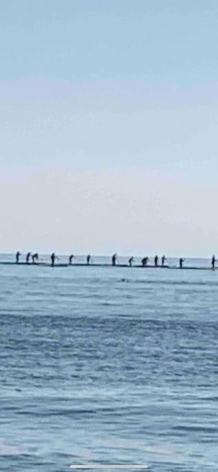 Apartamentoen La Playa, 200 Mts De La Playa Nuevo سانتا بولا المظهر الخارجي الصورة